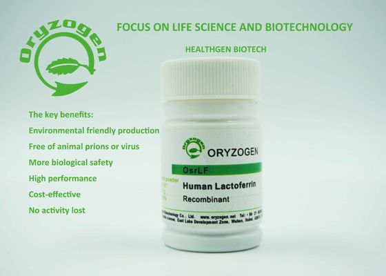 OsrhLF-Laktoferrin-menschliches Recombinant Protein-biologische Reagenzien für Biopharmaceuticals