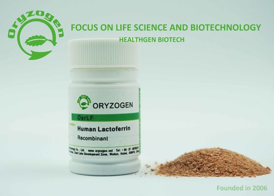 Protein-Reis-Korn-Ursprung ISO pH 7.0-7.5 Lacto Ferrin bescheinigte Recombinant menschliche