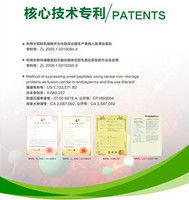 Biologischer Forschungs-Recombinant Protein-Service-Tierkomponente frei
