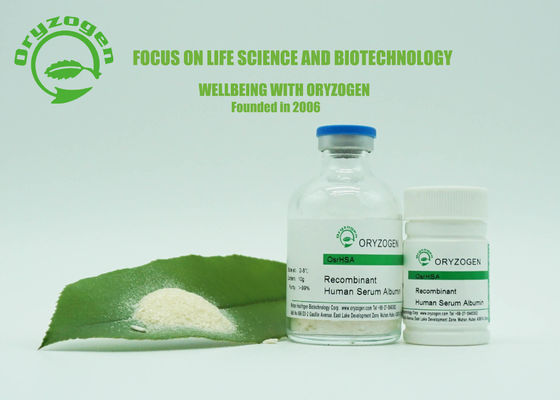 99% Reinheit Oryzogen-Albumin-Hautpflege-menschliches Recombinant Protein beschleunigen Metabolismus