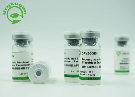 Lyophilisierte grundlegende Fibroblast-Wachstumsfaktor bFGF Faktor Bilogical-Reagenzien für Biopharmaceuticals