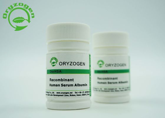 Bindemittel-Grad-tierisches freies Recombinant menschliches Serum-Albumin rHSA für Impfforschungs-Bindemittel