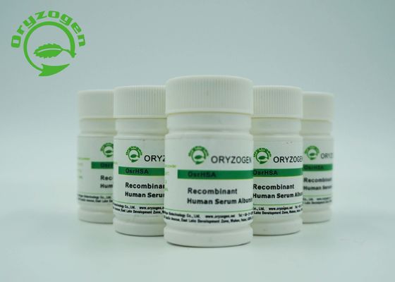 Recombinant Humanalbumin CASs 70024-90-7 HAT mit kleiner als Endotoxin 0.125EU/Mg