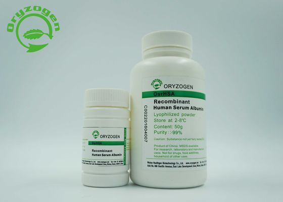 Größer als Recombinant 99% Reinheit HAT rHSA Stabilisator ohne Tierkomponenten