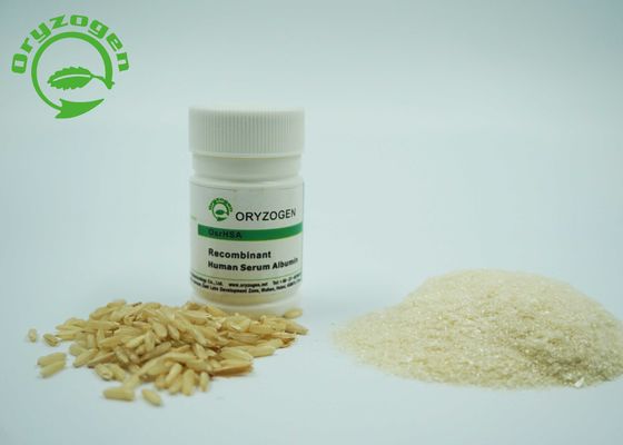 Größer als Recombinant 99% Reinheit HAT rHSA gefriertrockneten Pulver 4,8 PU