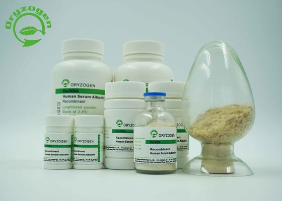 Weiß, das beige lyophilisierte Pulver HAT zu beleuchten, das Recombinant ist, bescheinigte ISO
