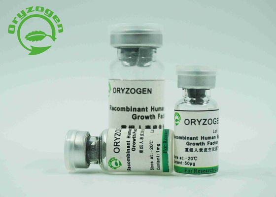 Epidermialer Wachstumsfaktor-weißes lyophilisiertes Pulver EGF mit Endotoxin kleiner als 1,0 EU/Magnesium