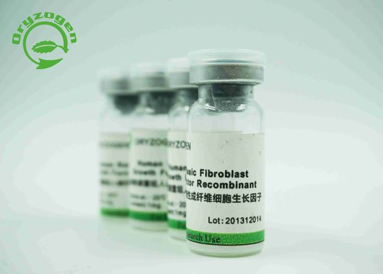 Tierische freie Recombinant epidermiale Wachstumsfaktor rEGF 1 × 10^6 Bioaktivität Einheits-/Magnesium