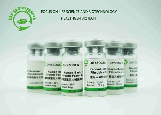 Weiße lyophilisierte Pulver bFGF Wachstumsfaktor-Reparatur schädigte Haut-Zellen 17KD menschliches FGF2