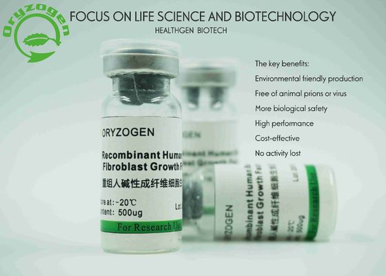 Molekulargewicht Reis-Korn-Ursprung Recombinant bFGF Wachstumsfaktor-17KD