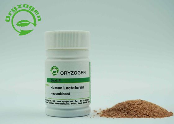 Anlage abgeleitetes Recombinant menschliches Laktoferrin Lacto Ferrin rhLF mit Endotoxin kleiner als 20 EU/Magnesium