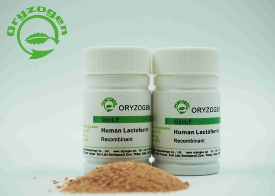 Recombinant menschliches Laktoferrin gefriertrocknetes Pulver