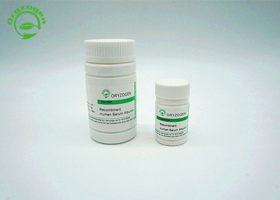 Das menschliche Serum-Albumin, das Recombinant ist, HAT ist strukturell und biochemisch gleichwertig mit pHSA