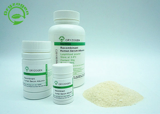 Recombinant HAT mit dem Weiß, zum des beige lyophilisierten Pulvers zu beleuchten HAT hohen Reinheitsgrad
