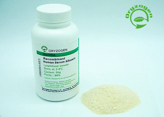 Strenge Qualitätskontrollhat recombinant Serum-Albumin das Weiß, zum des beige lyophilisierten Pulvers zu beleuchten