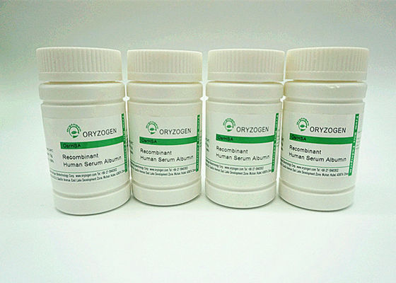 Recombinant ISO9001 HAT CAS No. 70024-90-7 abgeleitet vom Reis hat höheren Reinheitsgrad OsrHSA