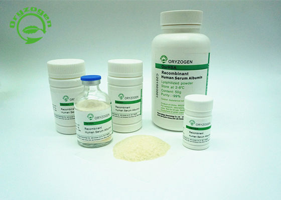Mehr als 99% Reinheits-HAT Recombinant Serum-Albumin weg weißes, zum des beige Farbpulvers zu beleuchten