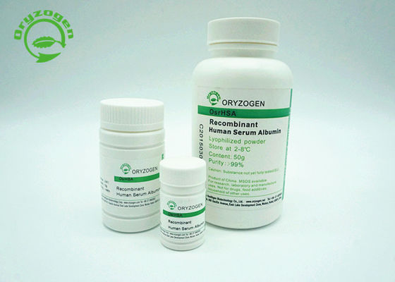 Menschliches Recombinant Serum-Albumin HAT das Weiß, zum des beige lyophilisierten Pulvers zu beleuchten