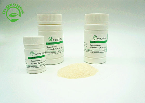 ISO bescheinigte Recombinant Serum-Albumin HAT abgeleitet vom Reis hat hohen Reinheitsgrad