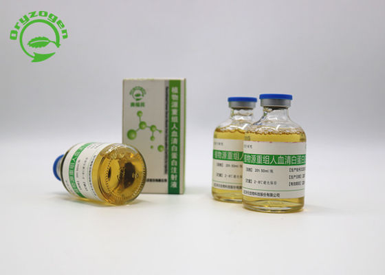 Zellen-Cryopreservation Recombinant menschliches flüssiges 99% Reinheit rHSA des Serum-Albumin-