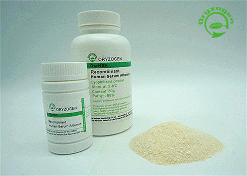 Der Recombinant Bindemittel-Grad LÄSST menschliches Serum-Albumin keinen Stabilisator pulverisieren