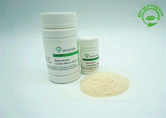 Molekulargewicht des hoher Reinheitsgrad OsrHSA-Pulver-Recombinant Albumin-65KD