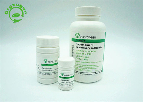 ISO-Zertifikat-Recombinant Humanalbumin-elfenbeinfarbenes Pulver konform mit GMP