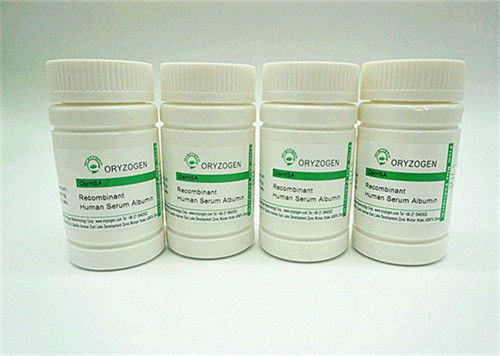 Recombinant menschliche Serum-Albumin-Hersteller für das Blockieren des Reagens