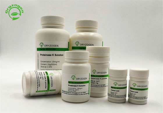 Nukleinsäure-Extraktions-Recombinant Proteinase K 29kD ProK 39450-01-6