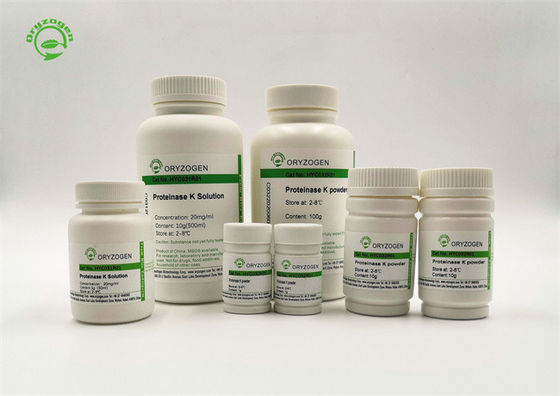 Hohes Pulver der Bioaktivitäts-Proteinase-K für DNA- und RNS-Reinigung