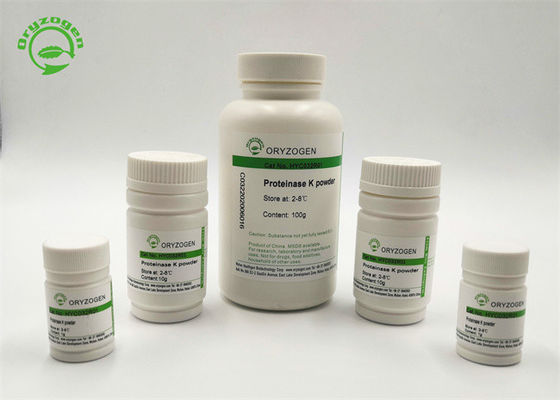 Lyophilisierte Proteinase K CASs 39450-01-6 pulverisieren rProK entfernen DNAse und RNase