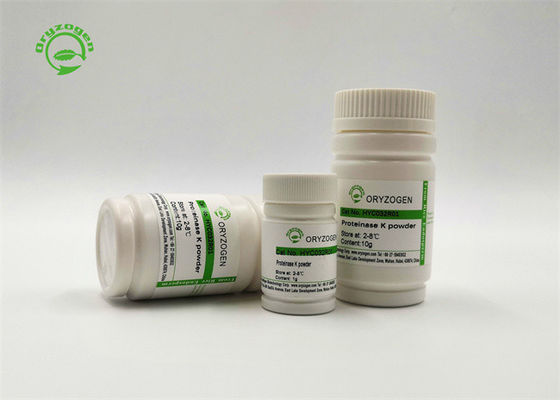 Recombinant Stabilitäts-hohes lyophilisiertes Pulver und Flüssigkeit 29 der Proteinase-K kDa