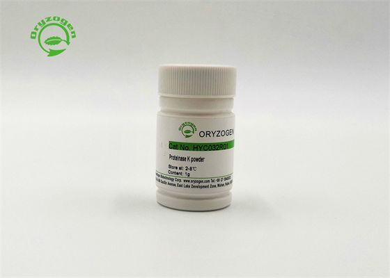 DNAse-/RNase-freie hoher Reinheitsgrad-Recombinant Proteinase K 39450-01-6