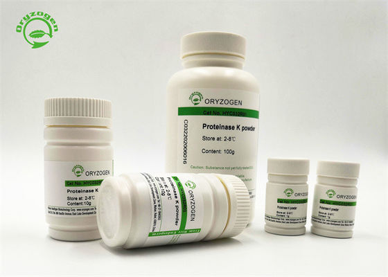Proteinase K Oryzogen 29kDa lyophilisierte Recombinant PCR-Grad Pulver von Pichia Pastoris