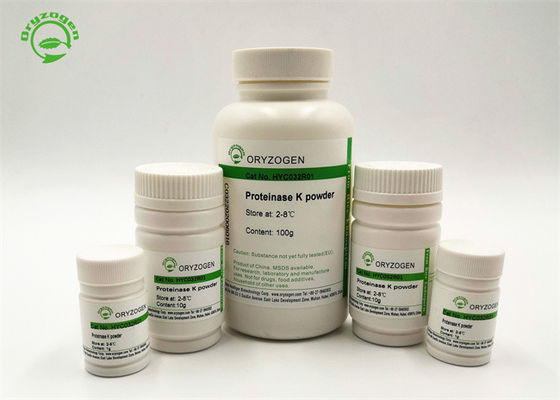 Hohe Bioaktivitäts-Recombinant Proteinase K für genomische DNA-Extraktion