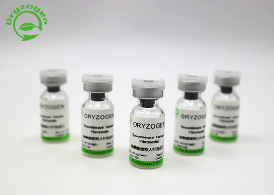 Beschichtendes Mittel In Cell Culture Recombinant Fibronectin weg vom weißen lyophilisierten Pulver OsrhFN