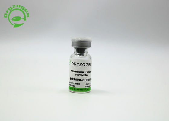 Oryzogen Recombinant Fibronectin erhöhen Zellkultur-Leistung 206kD
