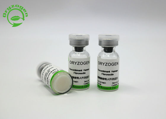 220 KDa hoher Reinheitsgrad Recombinant Fibronectin F-N für Zellkultur mittleres HYC021M01