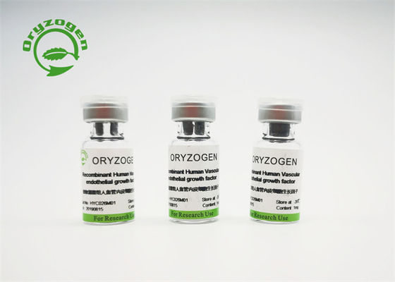 Hoher Reinheitsgrad-niedriges Endotoxin Recombinant VEGF CAS No. 127464-60-2