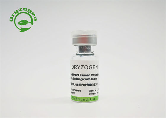 Tierfreies Recombinant TEILVEGF für Zellkultur