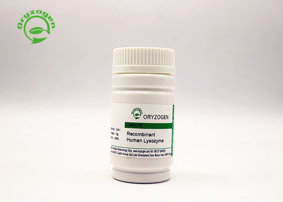 Hoher Reinheitsgrad-Recombinant Lysozym-Pulver für antibiotische Anwendungen 9001-63-2