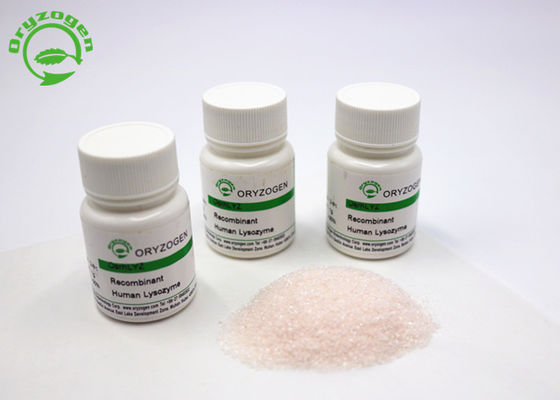 Sind Recombinant Lysozym-Pulver Oryzogen von der Reis-Plattform Versorgung CAS No 9001-63-2 sperrig