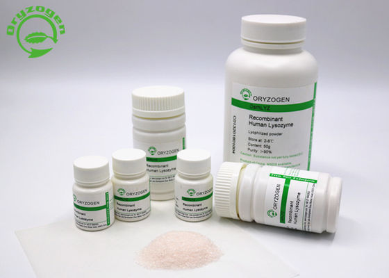 Sind Recombinant Lysozym-Pulver Oryzogen von der Reis-Plattform Versorgung CAS No 9001-63-2 sperrig