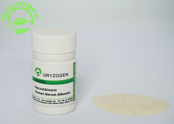 Oryza Sativa-OsrHSA lyophilisierte Pulver ISO9001 bescheinigt