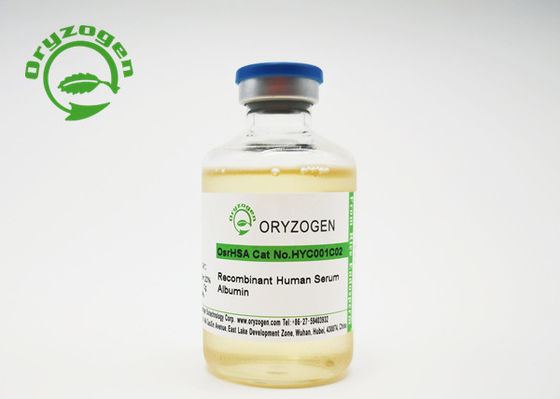 Bindemittel-Grad-Recombinant menschliches Serum-Albumin Xeno Free