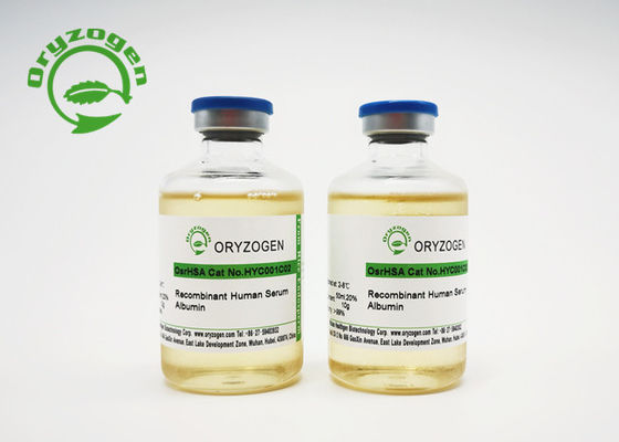 Flüssiges Reis-Korn OsrHSA für MRNA Impf-Protectant
