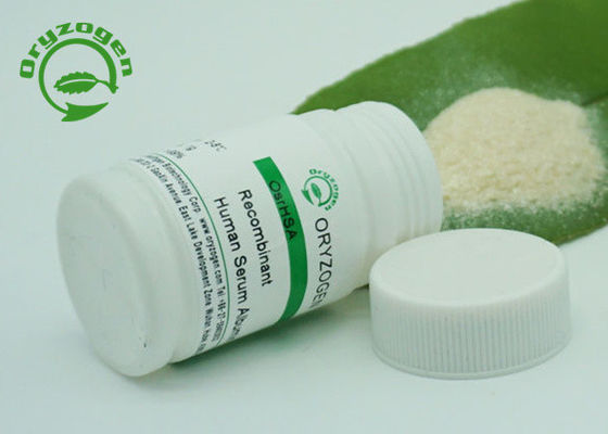Tierisches freies Recombinant Serum-Albumin für Bioindustrie