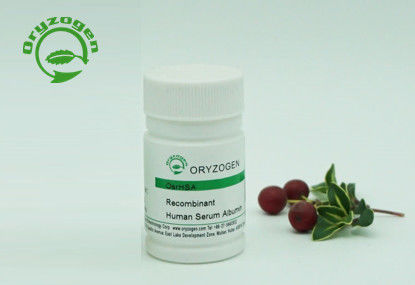 Feste Qualitäts-Recombinant menschliches Serum-Albumin-Tier frei