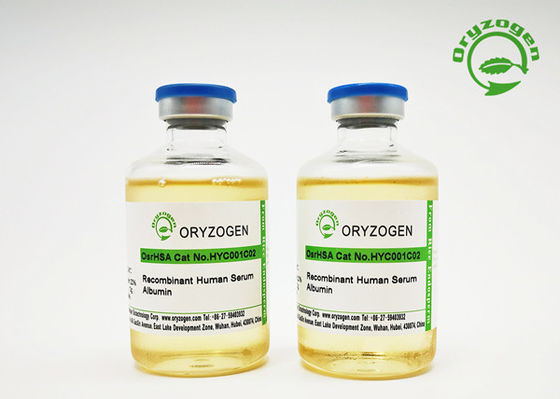 Bindemittel-Grad-Recombinant menschliches Serum-Albumin flüssiges 50mL mit 20% Konzentration