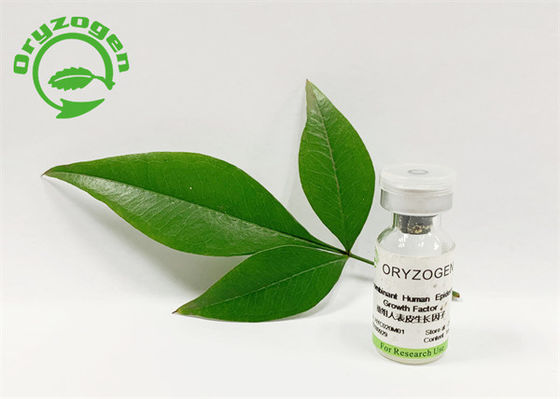 53 Aminosäuren 5.3kD Recombinant menschliches EGF lyophilisierten Pulver